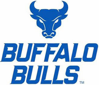 Buffalo Bulls 2016-Pres Alternate Logo iron on paper